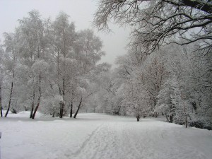 Obrázok